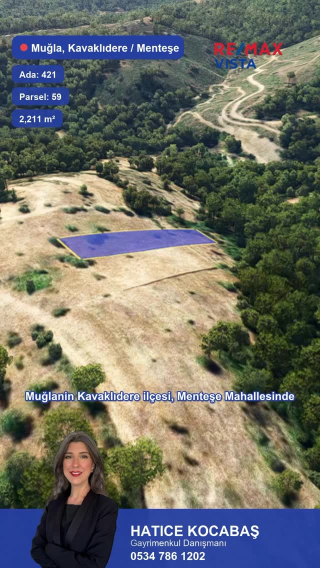 Drone Video