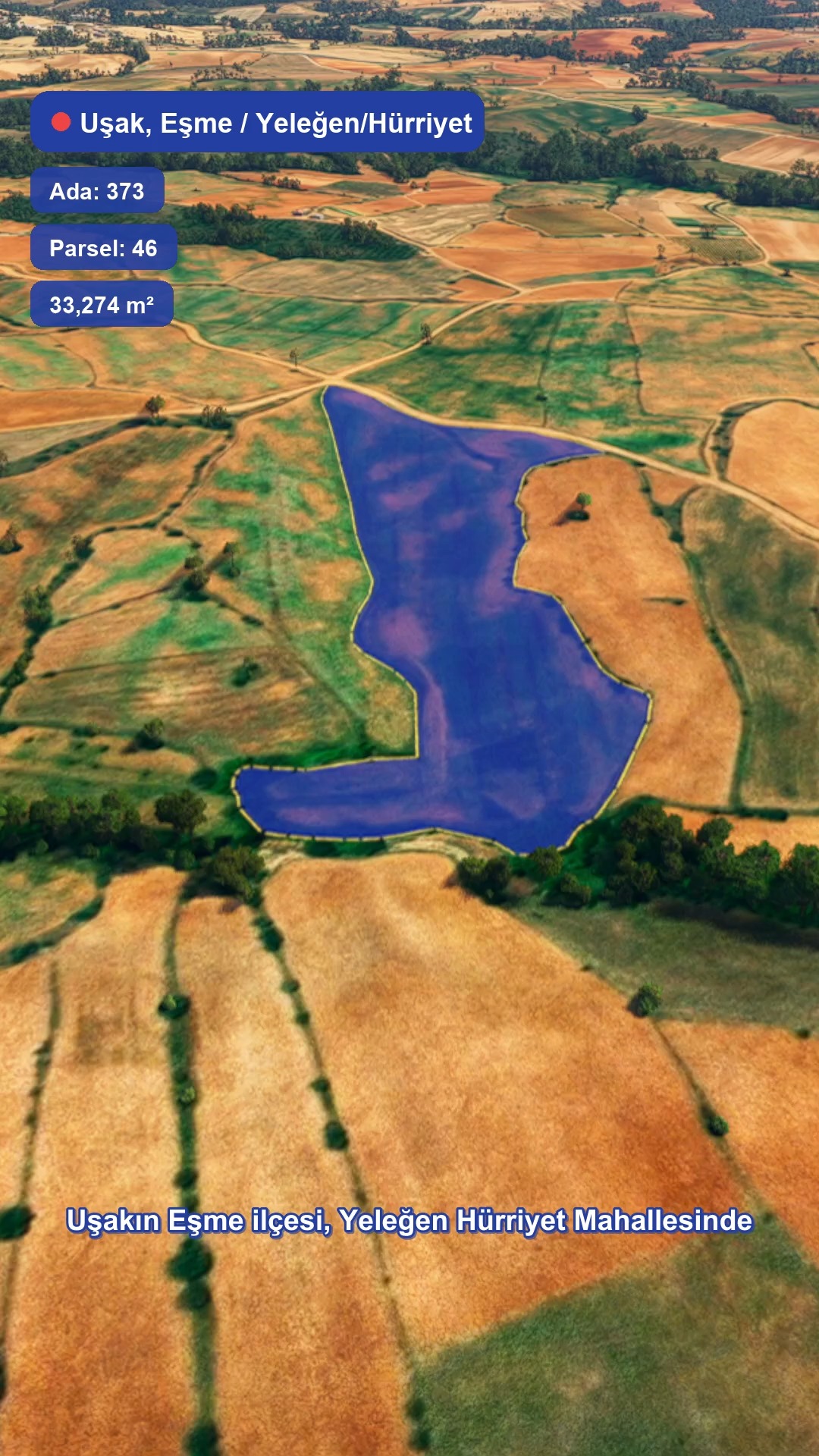 Drone Video